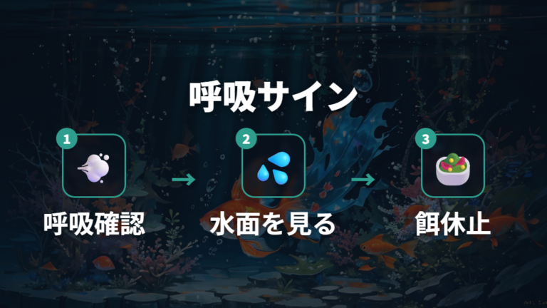 呼吸が早い時は酸素不足と水質悪化を先に確認する