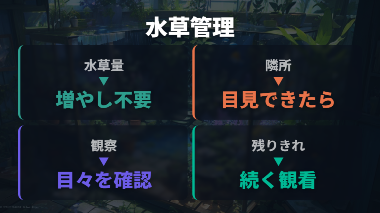 ビオトープでの防虫ネット活用は水草の量も見る