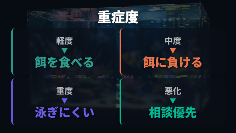 処分するか迷ったときの考え方は重症度と生活の質で分ける