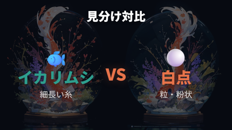 体表に付く白い糸の注意点はイカリムシと白点を混同しないこと