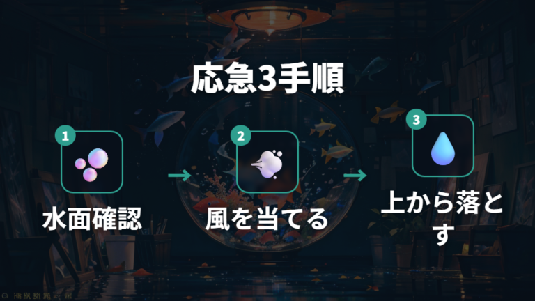 エアーポンプなしの応急処置は水面を揺らす行動から始める