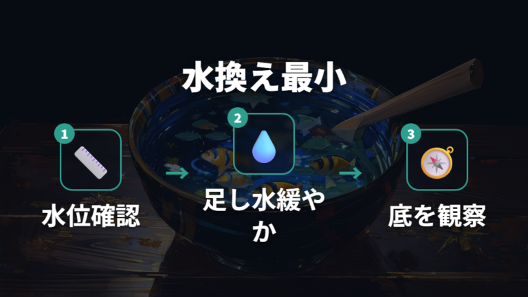 冬の水換えと掃除の注意点は触りすぎないこと