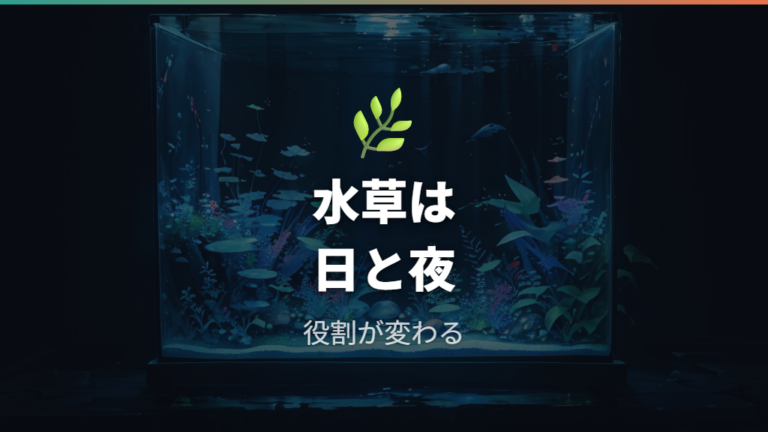 水草は酸素供給の代わりになるかを昼と夜で考える