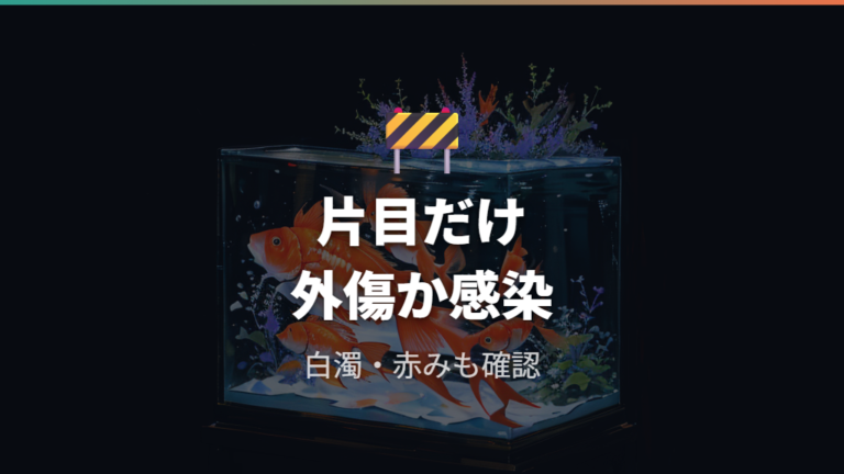 片目だけ出る場合の見分け方は外傷や局所の変化も見る