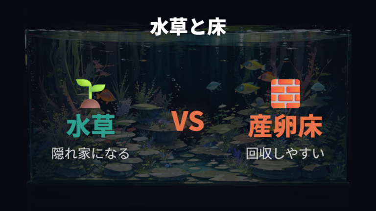 水草と産卵床の違いはどこにある?