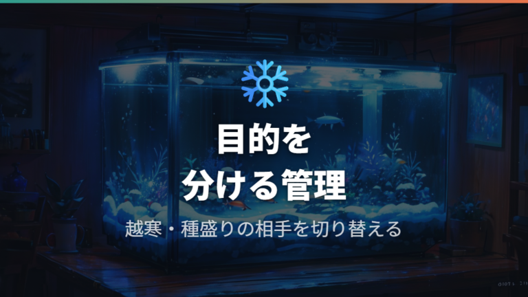 冬の水温管理とヒーターは目的で使い分ける