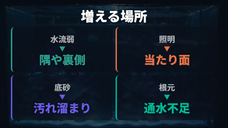 水流や照明で増える理由は発生場所から読み取る