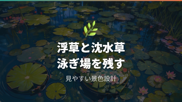 睡蓮鉢を自然に見せる配置で水草を組み合わせる