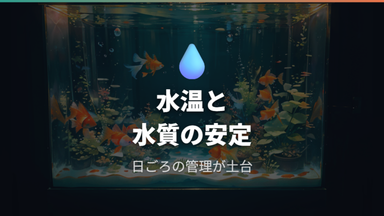 卵詰まりを防ぐ飼育環境は水温と水質を安定させる