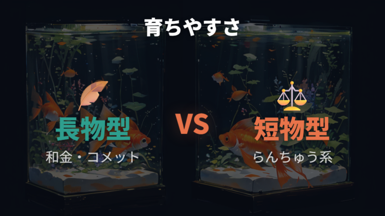 大きくなりやすい金魚の種類は長物型に多い