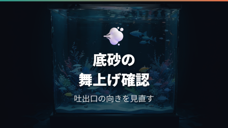水流と底砂の舞い上がりを確認する