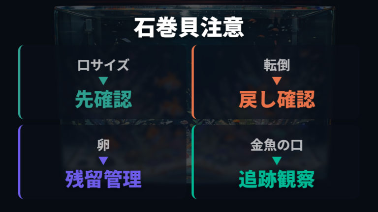 石巻貝と混泳する注意点は転倒・卵・金魚の口