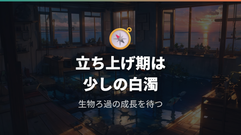 立ち上げ直後は白カビや白濁りが出やすい時期