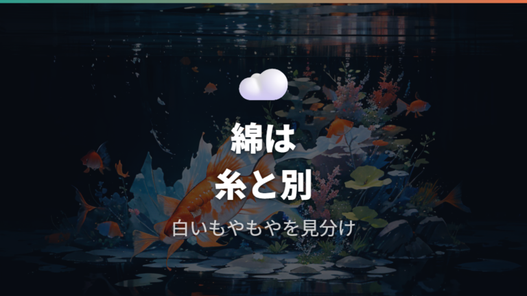 水カビ病との違いは糸ではなく綿状かもやもやかで見る