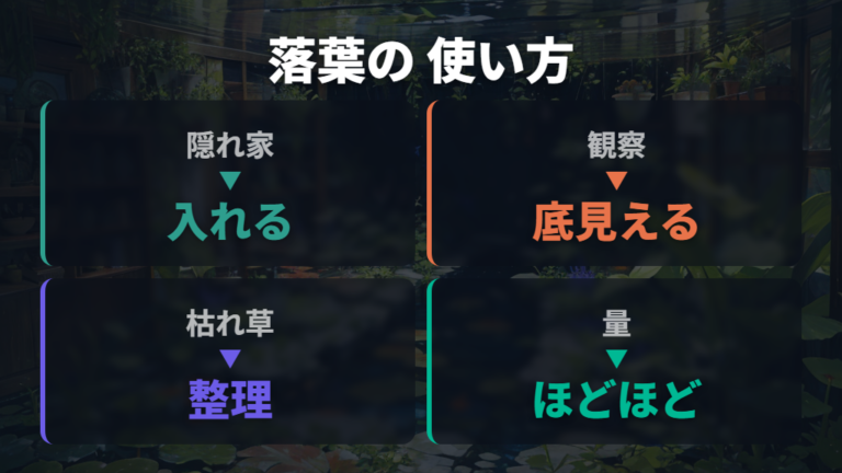 落ち葉や水草を使うときは隠れ家と観察しやすさを見る