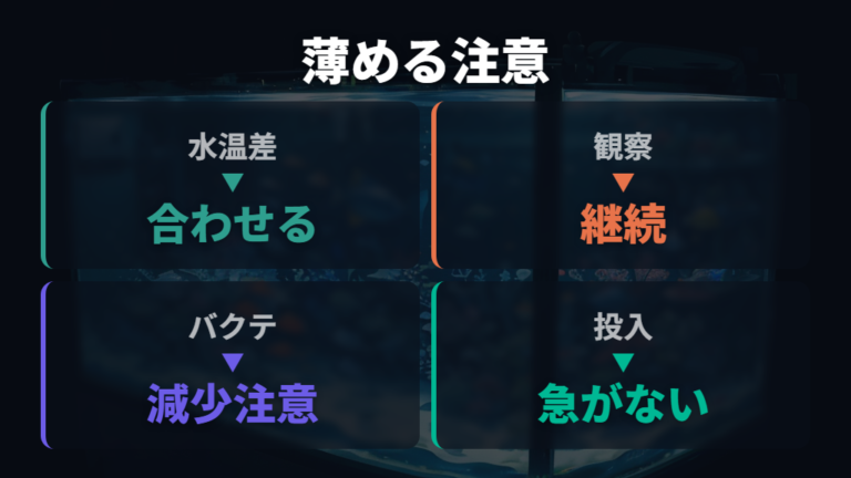 水換えで薄めるときの注意点はバクテリアと水温差