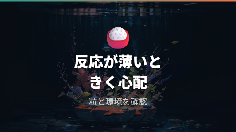 餌を食べない稚魚の原因は粒の大きさと環境