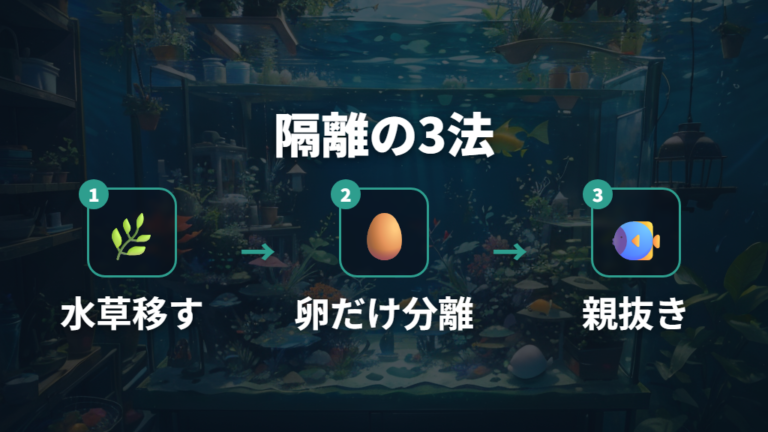 卵付き水草を隔離する方法と確認手順