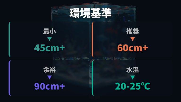 混泳に必要な水槽環境を順番に整える
