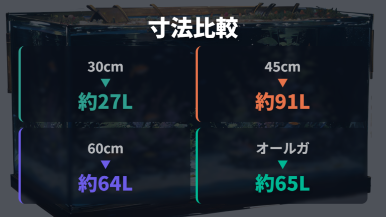 飾りの寸法と対応水槽は30cm・45cm・60cmで考える