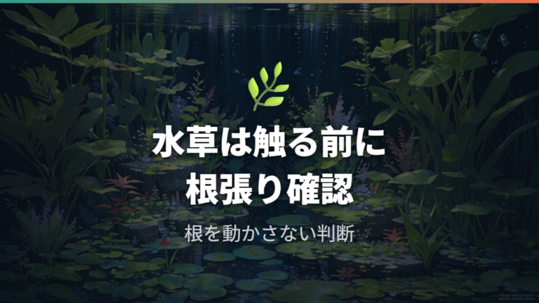 水草水槽で掃除を控える判断は根張りと水槽バランスを見る