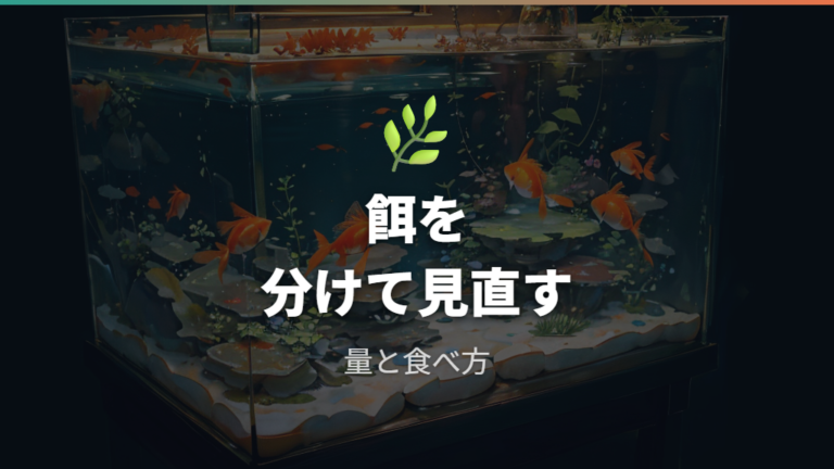 餌と消化不良を防ぐ工夫は量・種類・食べ方を変える