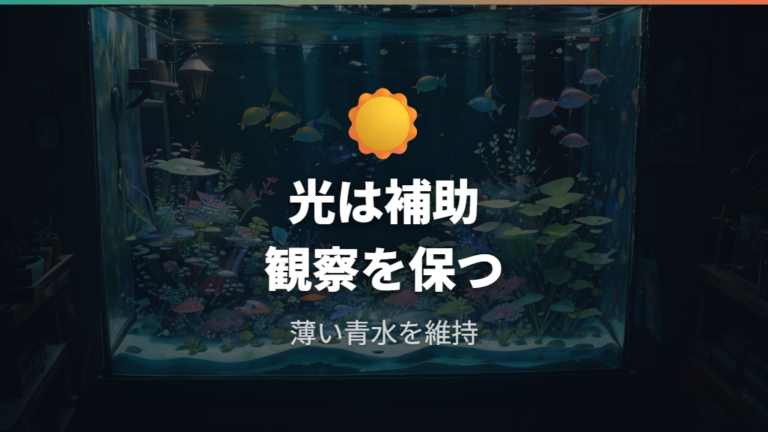 室内で針子を育てる基本環境に光と水草を足す