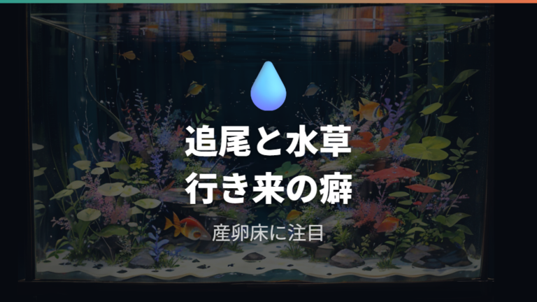 産卵前に見られる行動はオスの追尾と水草まわりで判断する