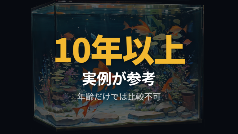 長生き金魚のリアルなサイズ感は実例で補う