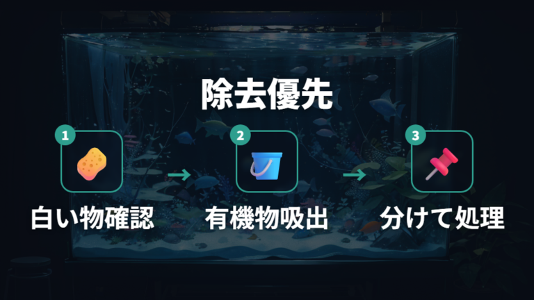 魚に負担をかけない白カビ対策は薬より除去から