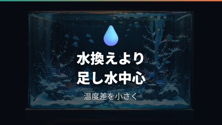冬眠中の水換えと足し水の注意を整理する