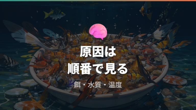 稚魚が死ぬ主な原因と対策は何から見る?