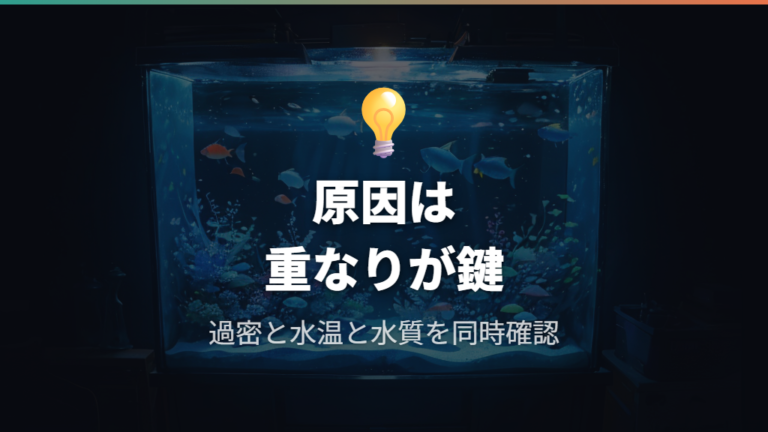 酸素不足が起きる主な原因は過密・高水温・水質悪化