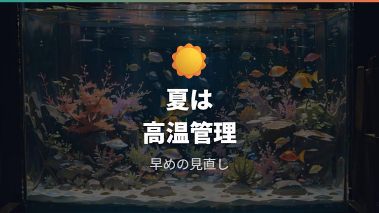 夏の高水温ではエアレーションなしを続けてもよいか