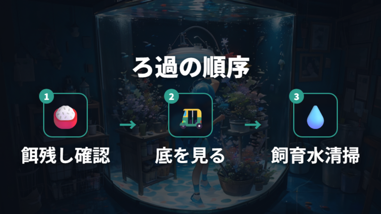 水質悪化を防ぐフィルター管理と掃除の考え方