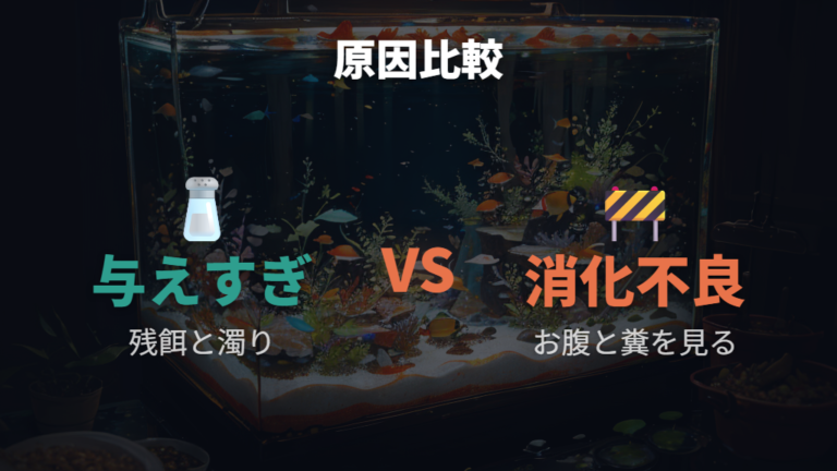 与えすぎや食べ残しは底の汚れで見直す