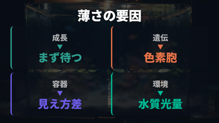 稚魚の色が薄い原因は遺伝と環境に分けて考える