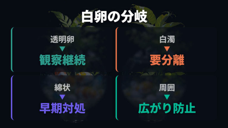 白い卵やカビの原因は無精卵と水質悪化に分けて考える