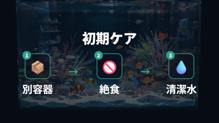 隔離や塩浴でできる対処は餌控えと清潔な水作りから