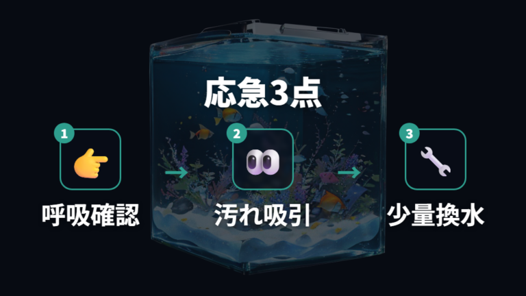 魚を守るための応急処置は水質悪化の負荷を減らす