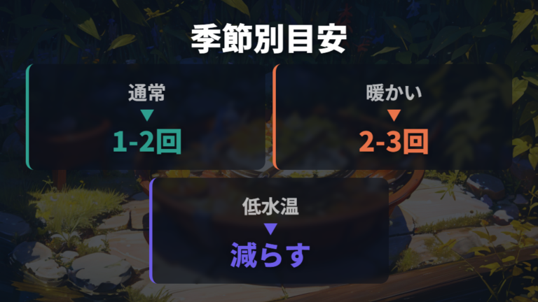 餌の適量と回数の目安は季節と目的で変える