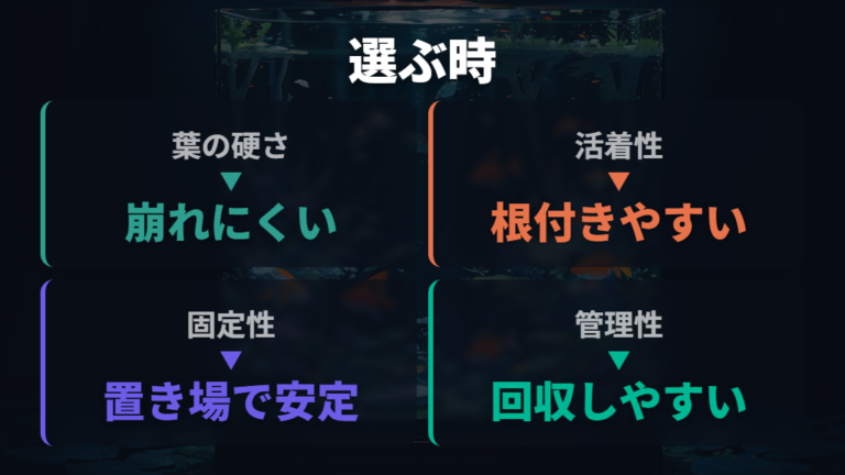 金魚に食べられにくい水草は硬い葉と活着性で選ぶ