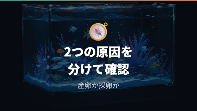 卵がつかない原因は産卵していない場合と採卵できない場合で違う
