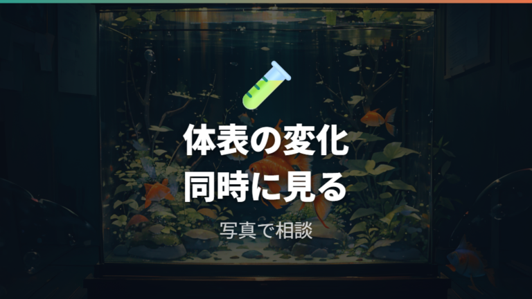 病気サインを写真で残す