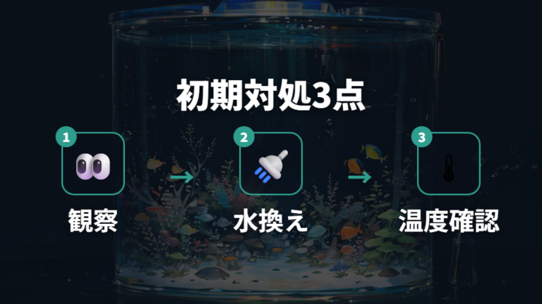 自宅でできる初期対処は状態に応じて検討する