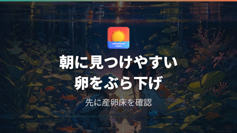 卵をぶら下げる時間帯は朝の観察で見つけやすい