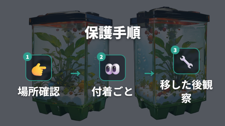 卵を見つけた後の保護方法は親魚から離すことが基本