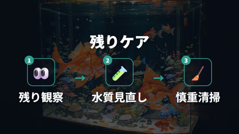 残った金魚と水槽のケアで次の被害を防ぐ