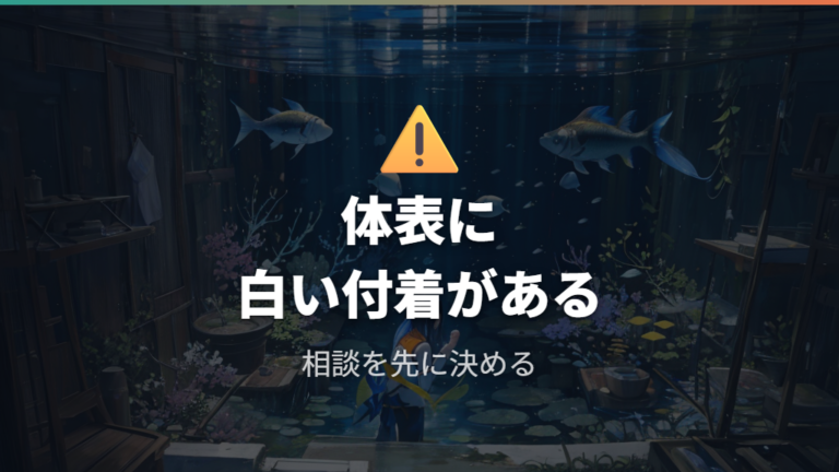 魚やエビへの影響と危険度が高いときの治療判断