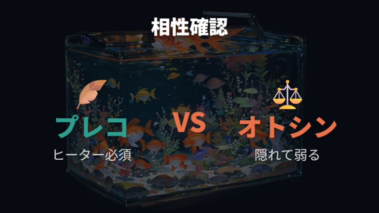 プレコやオトシンクルスを入れる前に相性を確認する